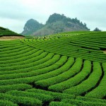 doi che (1)